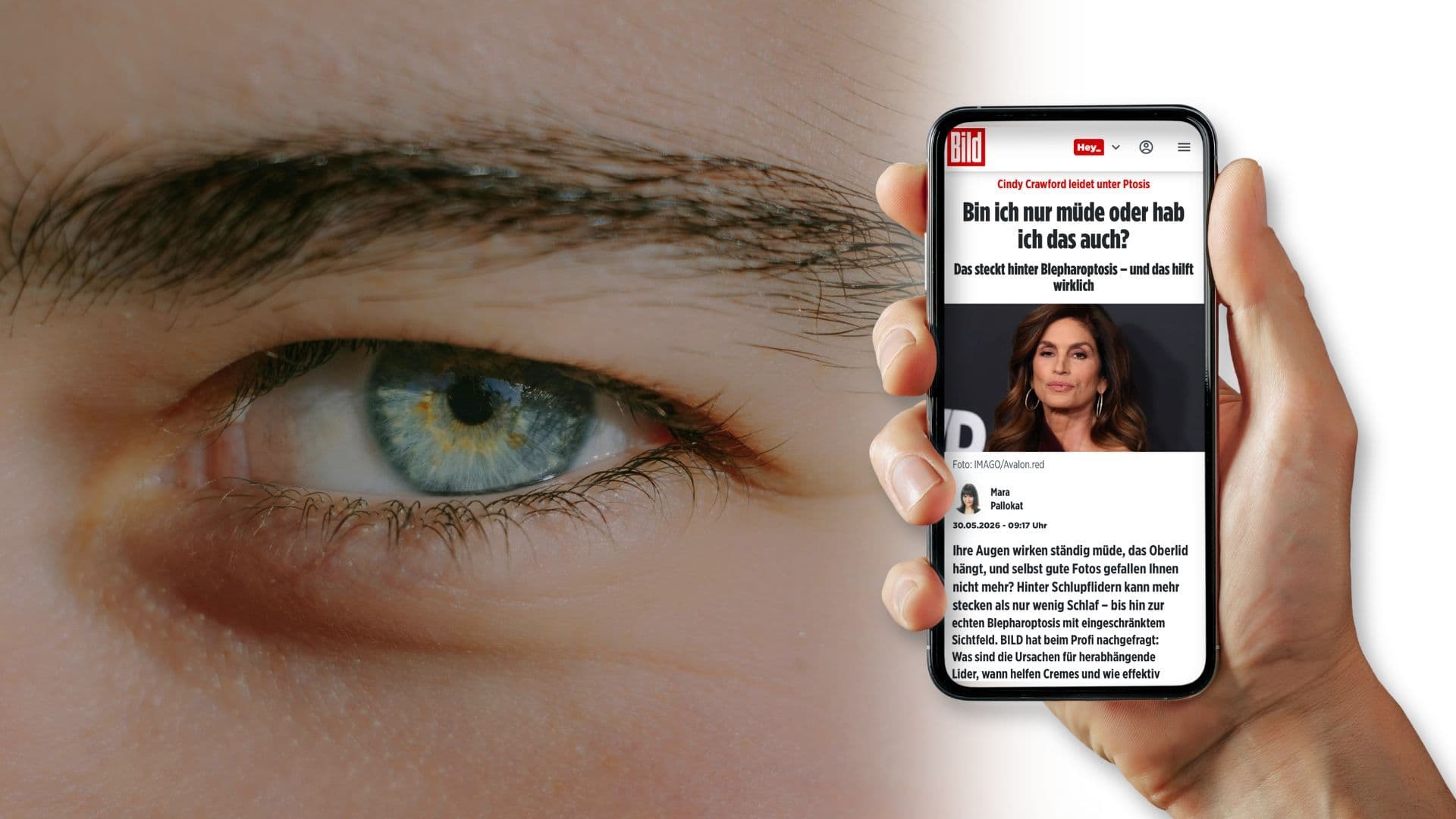 Bild_Handy.jpg